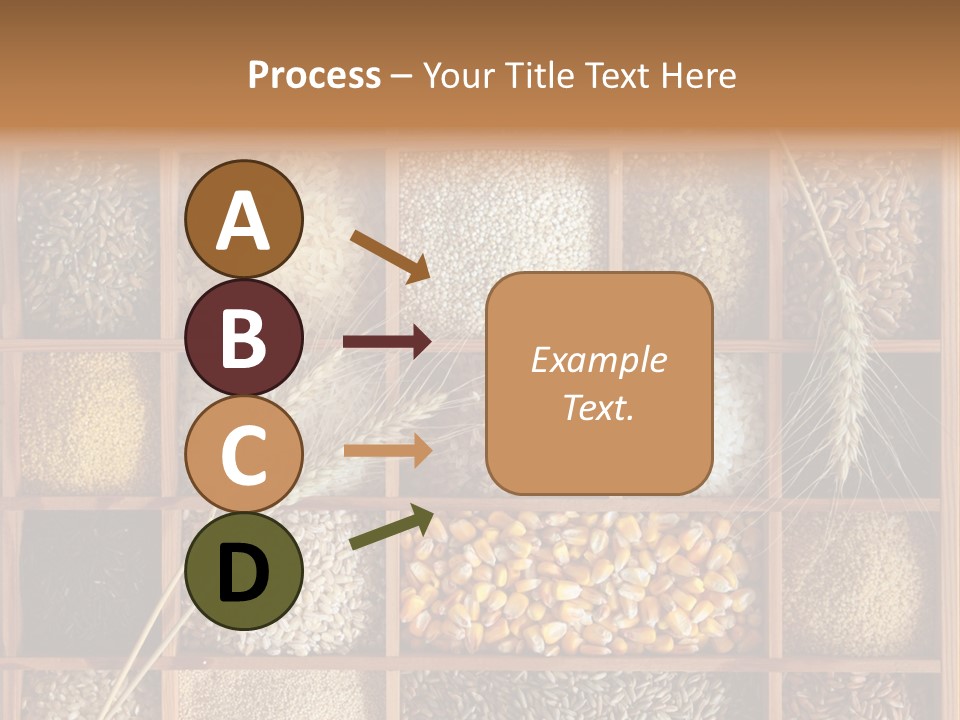 Quinoa Wooden Wheat PowerPoint Template