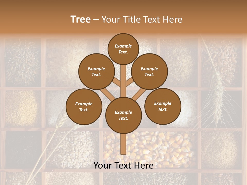 Quinoa Wooden Wheat PowerPoint Template
