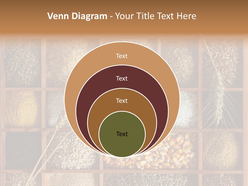 Quinoa Wooden Wheat PowerPoint Template