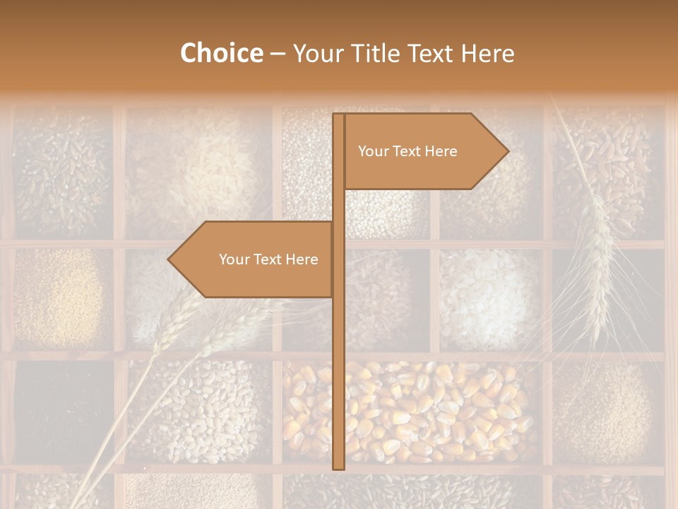 Quinoa Wooden Wheat PowerPoint Template
