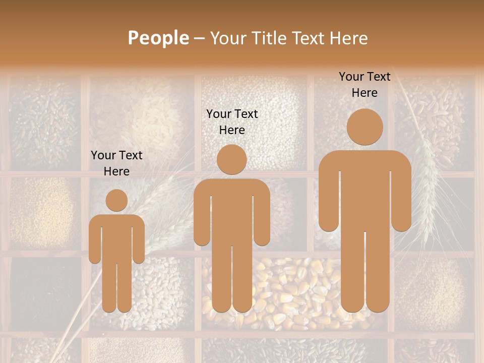 Quinoa Wooden Wheat PowerPoint Template
