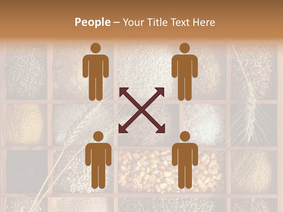Quinoa Wooden Wheat PowerPoint Template