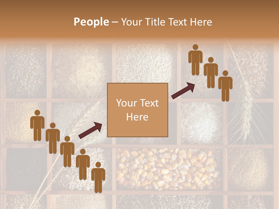 Quinoa Wooden Wheat PowerPoint Template