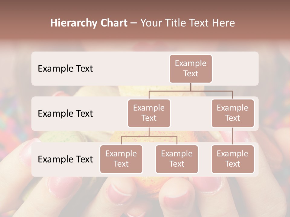 Many Cookies In The Hands Of A Girl PowerPoint Template