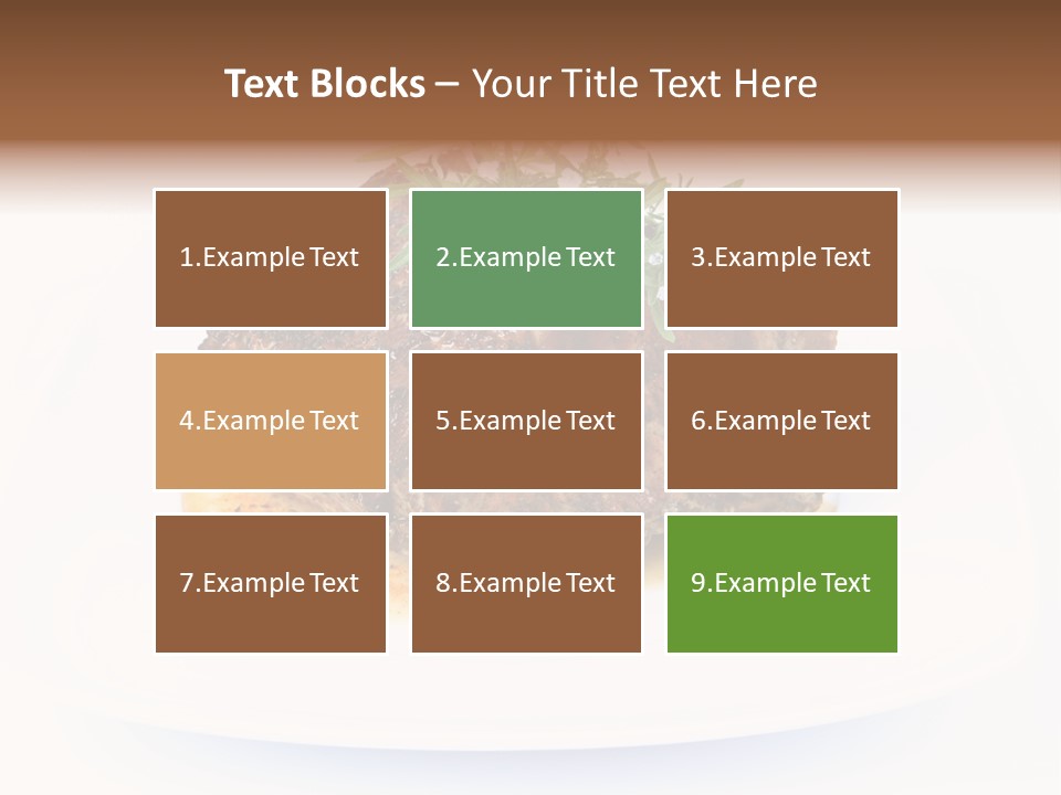 Meal Dish Pork PowerPoint Template