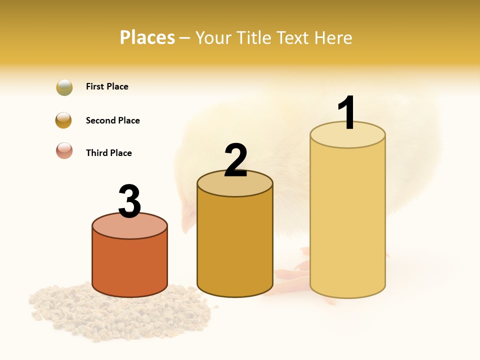 Chick Feed Hen PowerPoint Template