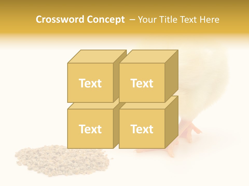 Chick Feed Hen PowerPoint Template