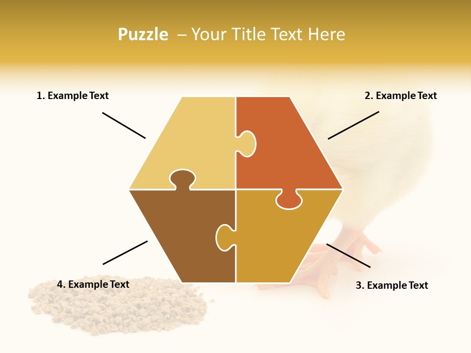 Chick Feed Hen PowerPoint Template