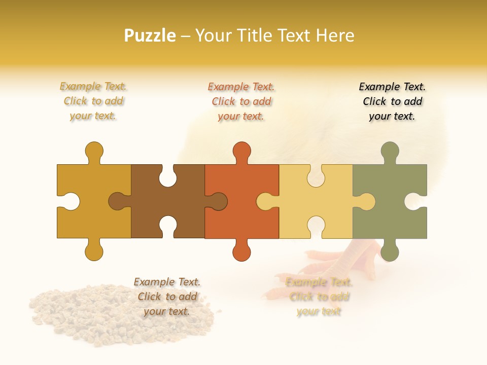 Chick Feed Hen PowerPoint Template
