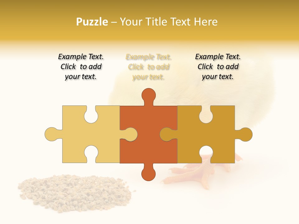 Chick Feed Hen PowerPoint Template