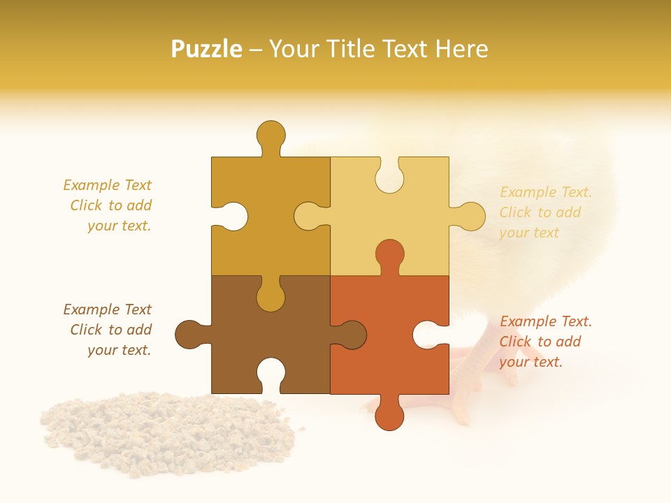 Chick Feed Hen PowerPoint Template