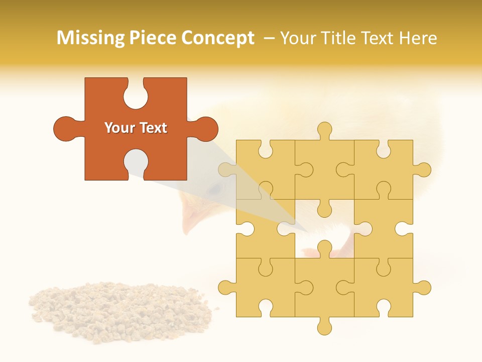 Chick Feed Hen PowerPoint Template