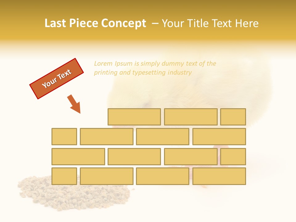 Chick Feed Hen PowerPoint Template