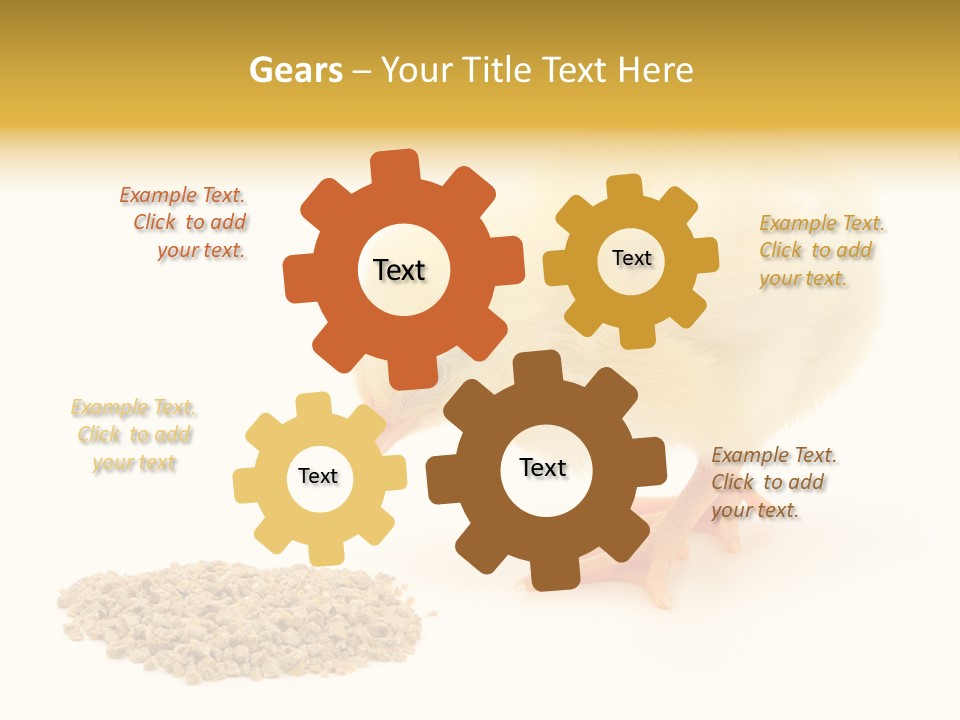 Chick Feed Hen PowerPoint Template