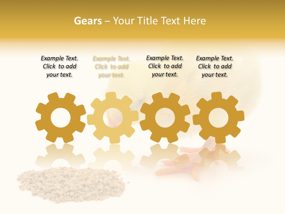 Chick Feed Hen PowerPoint Template