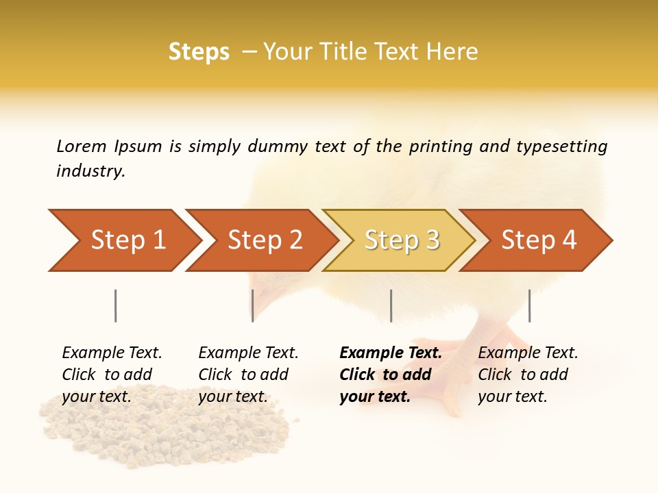 Chick Feed Hen PowerPoint Template