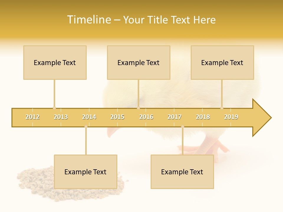 Chick Feed Hen PowerPoint Template