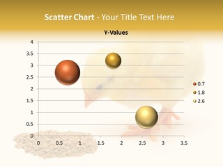 Chick Feed Hen PowerPoint Template