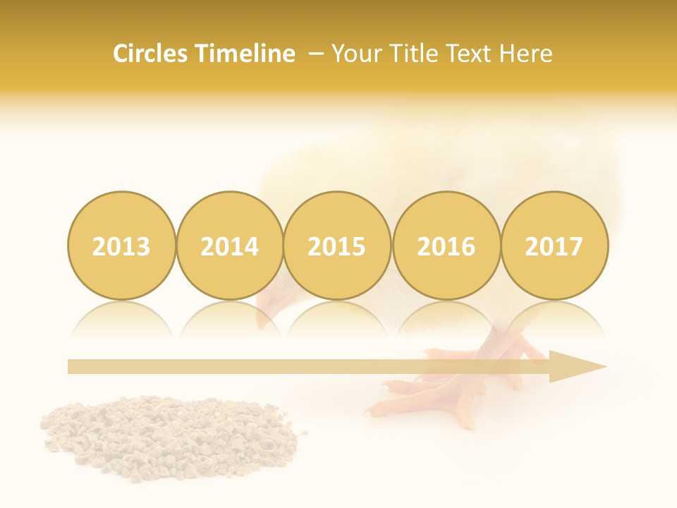 Chick Feed Hen PowerPoint Template