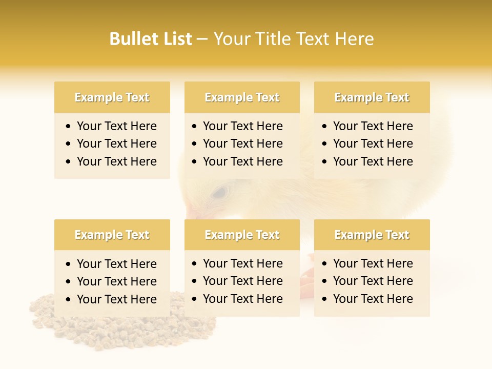 Chick Feed Hen PowerPoint Template