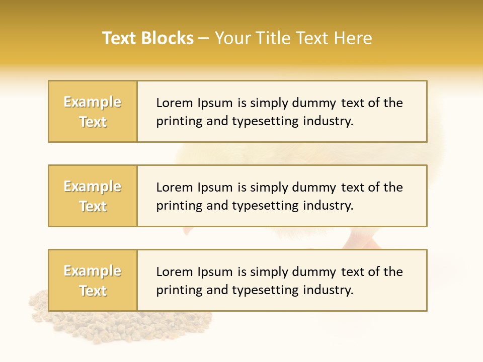 Chick Feed Hen PowerPoint Template