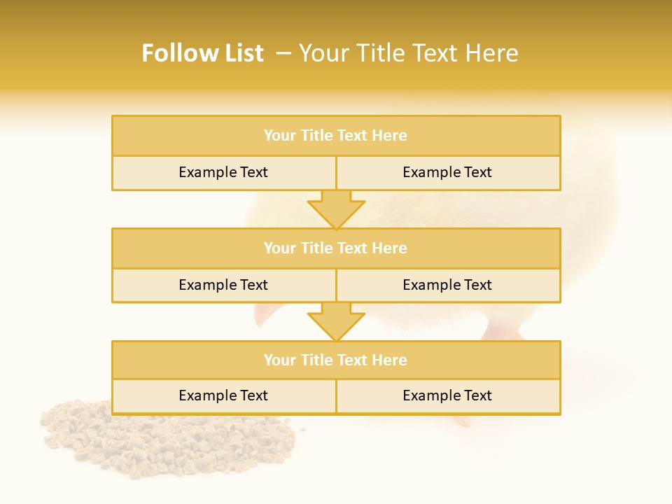 Chick Feed Hen PowerPoint Template