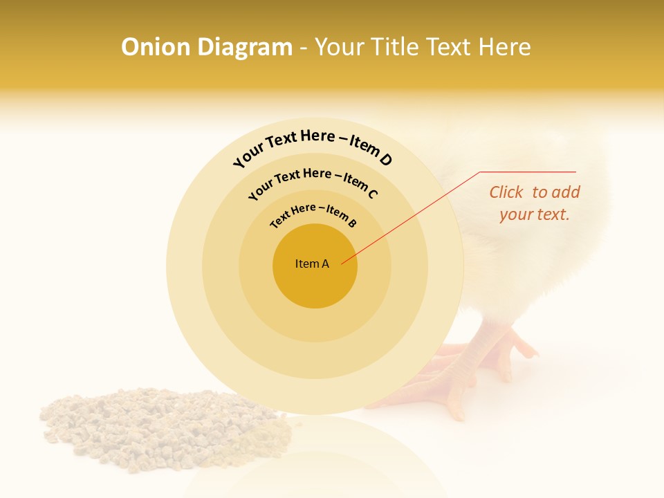 Chick Feed Hen PowerPoint Template
