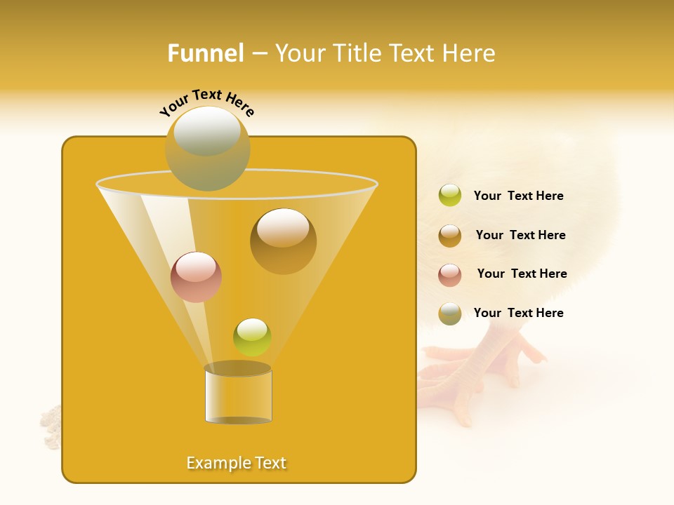 Chick Feed Hen PowerPoint Template