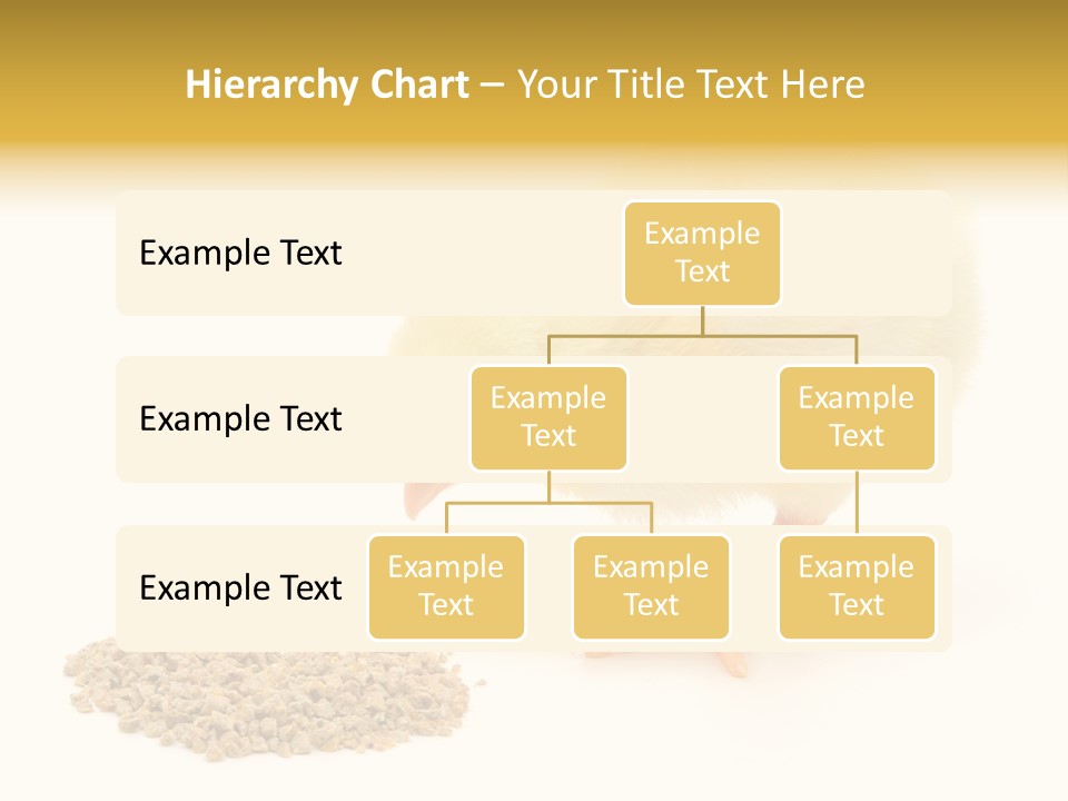 Chick Feed Hen PowerPoint Template