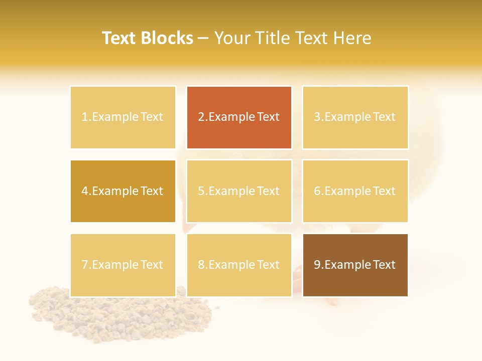 Chick Feed Hen PowerPoint Template