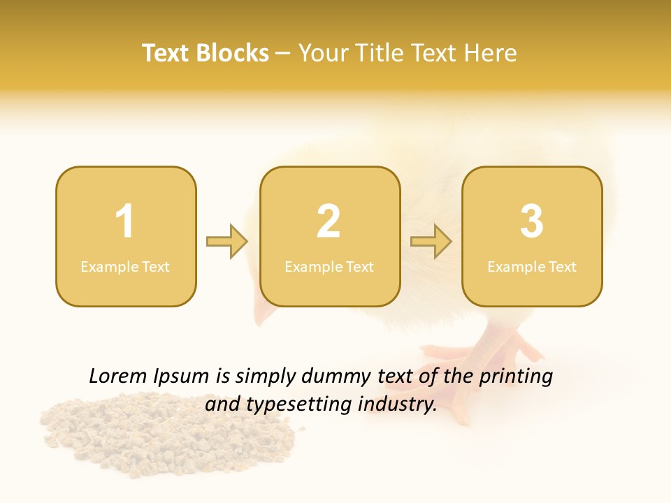 Chick Feed Hen PowerPoint Template