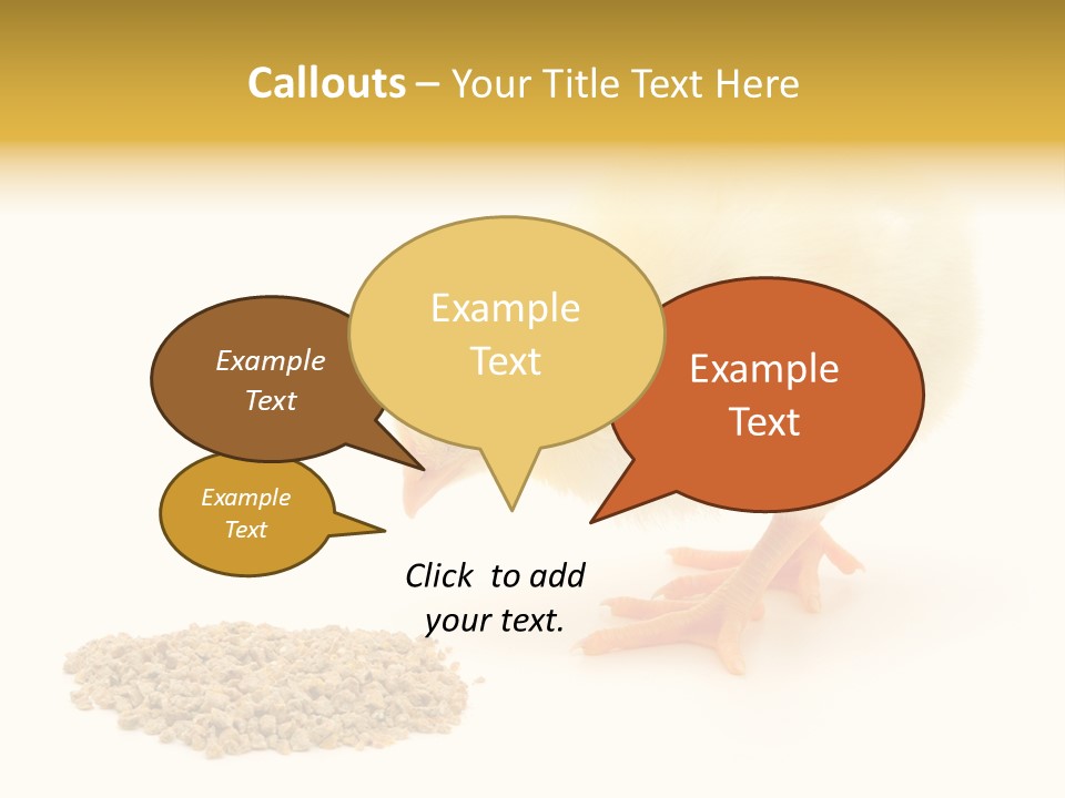 Chick Feed Hen PowerPoint Template