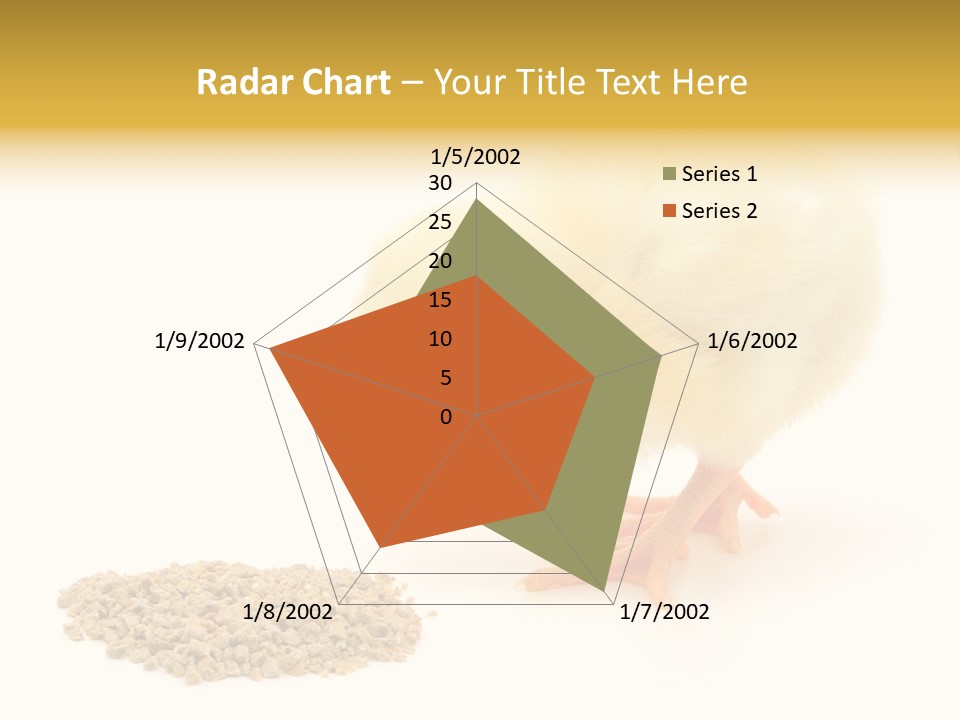 Chick Feed Hen PowerPoint Template