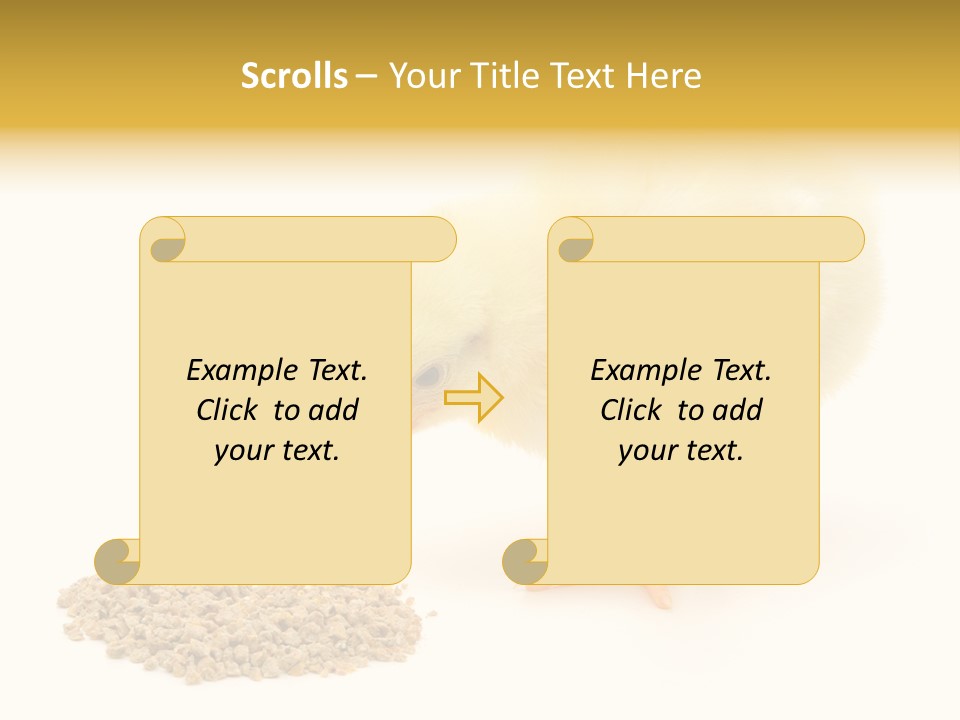 Chick Feed Hen PowerPoint Template
