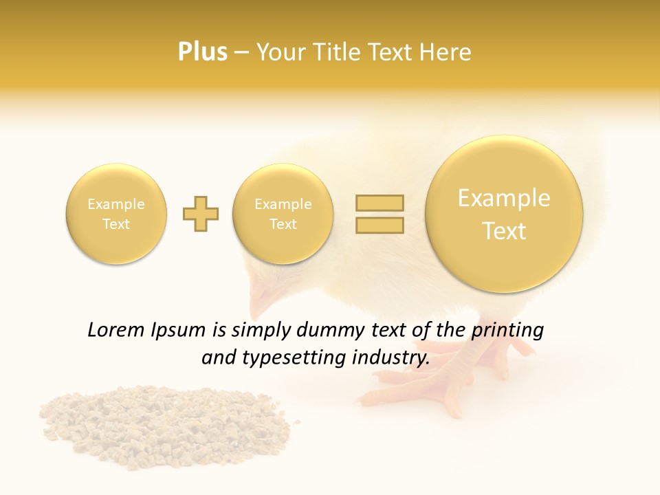 Chick Feed Hen PowerPoint Template