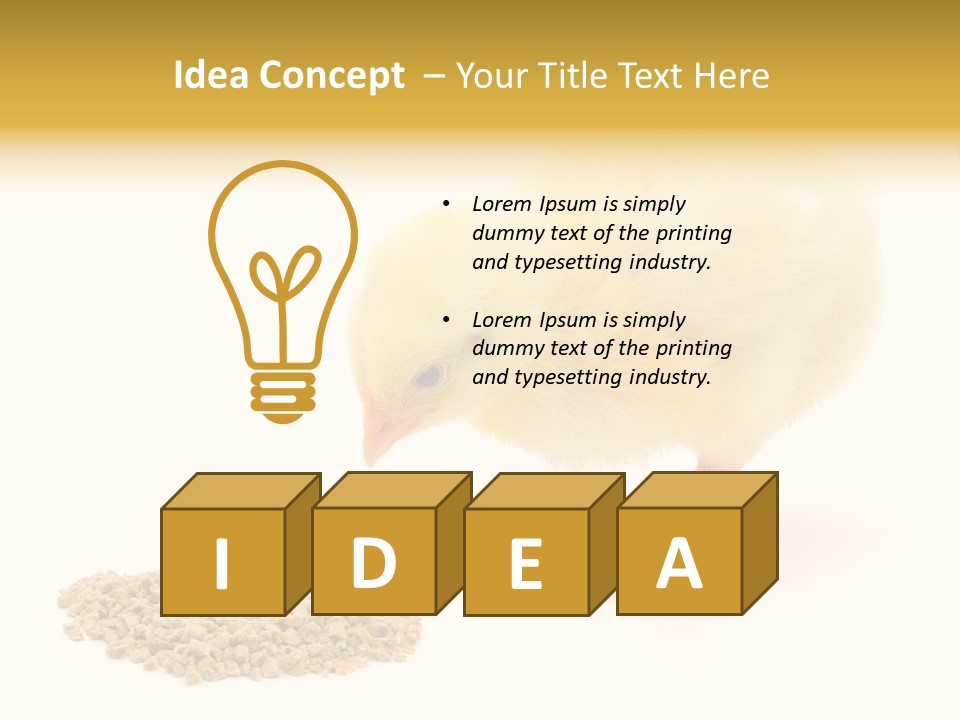 Chick Feed Hen PowerPoint Template