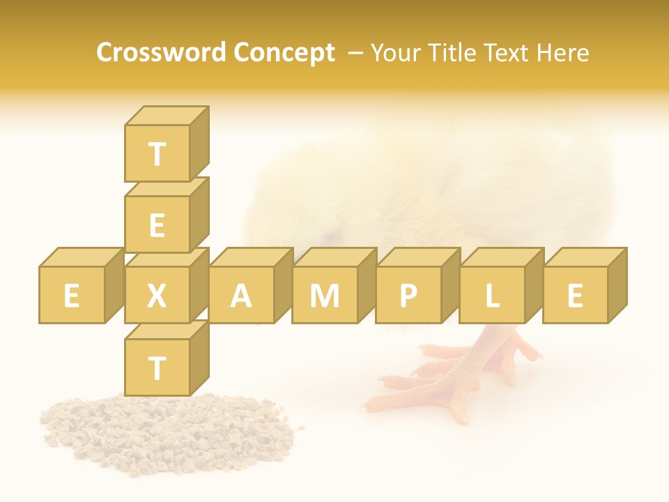 Chick Feed Hen PowerPoint Template