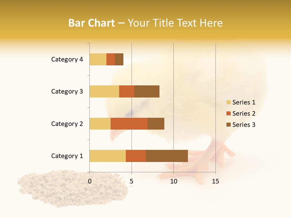 Chick Feed Hen PowerPoint Template
