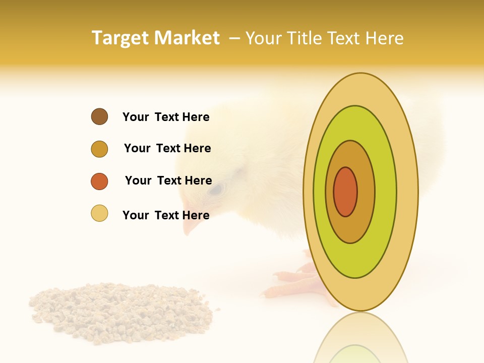 Chick Feed Hen PowerPoint Template
