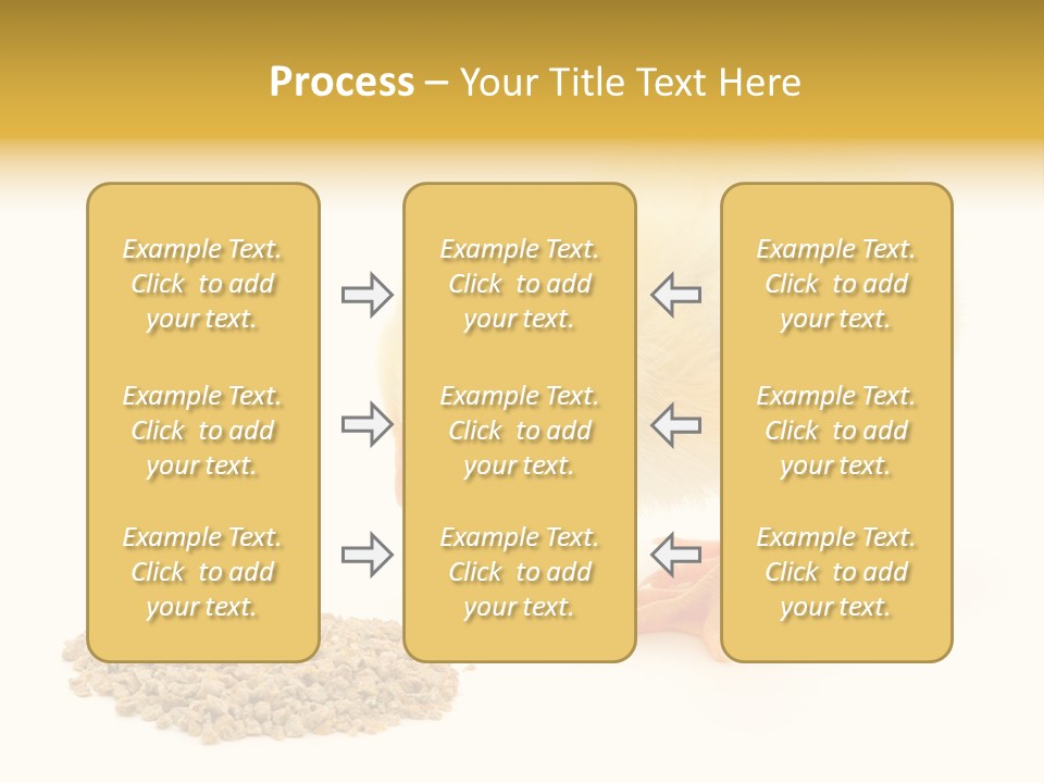 Chick Feed Hen PowerPoint Template