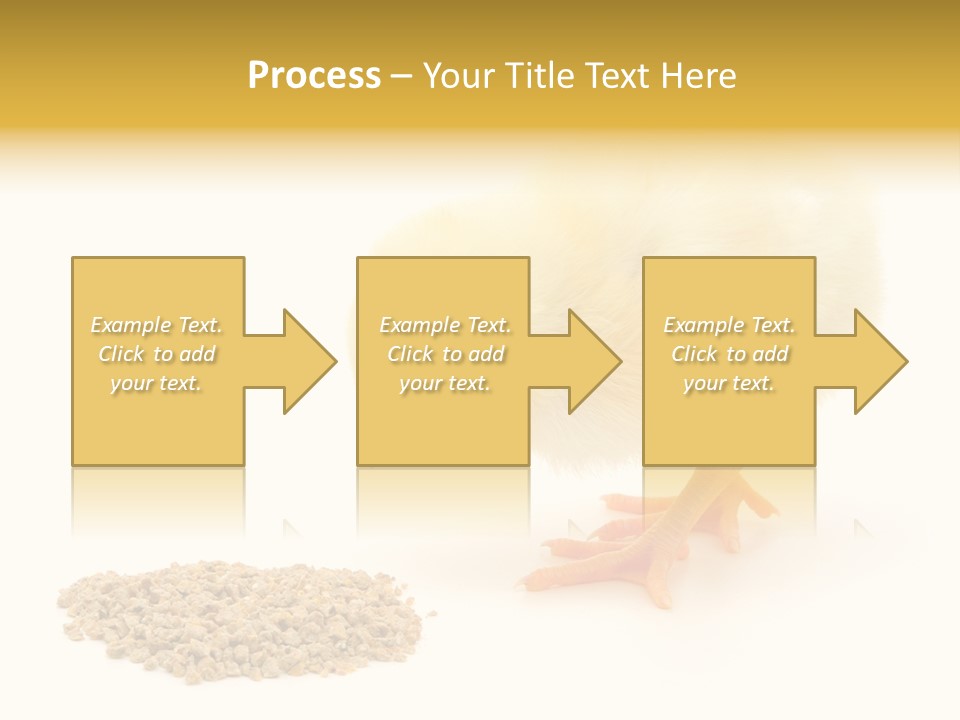 Chick Feed Hen PowerPoint Template