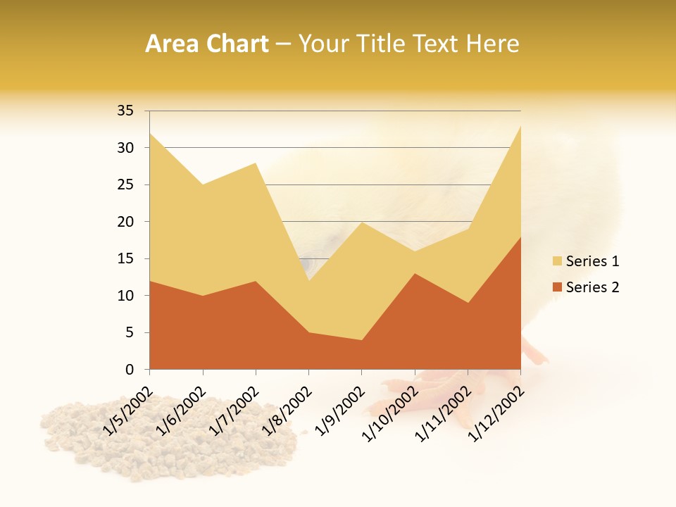 Chick Feed Hen PowerPoint Template