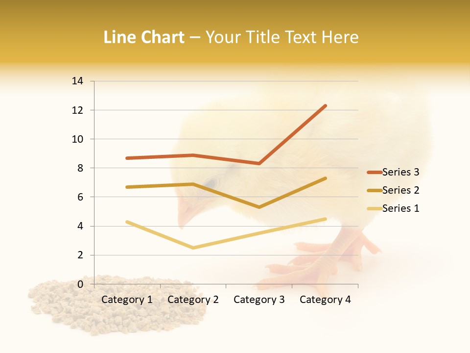 Chick Feed Hen PowerPoint Template