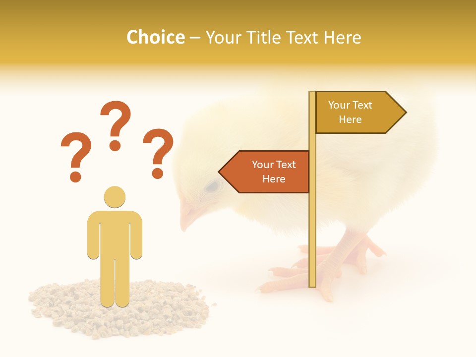 Chick Feed Hen PowerPoint Template
