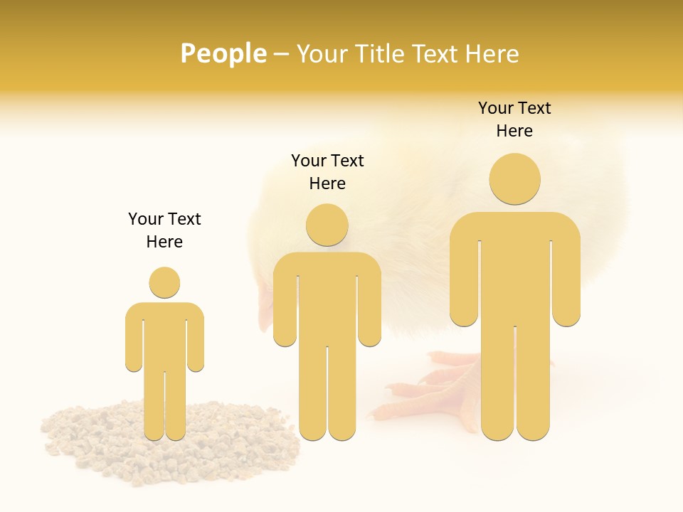 Chick Feed Hen PowerPoint Template