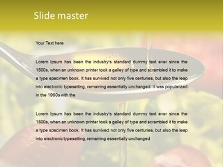Freshly Spice Goldencoloured PowerPoint Template