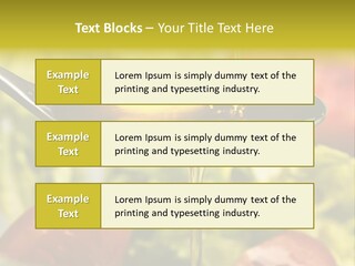 Freshly Spice Goldencoloured PowerPoint Template