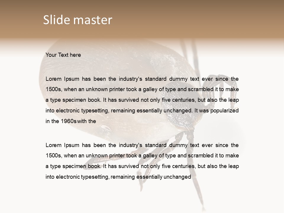 Small Isolated On White Brown PowerPoint Template