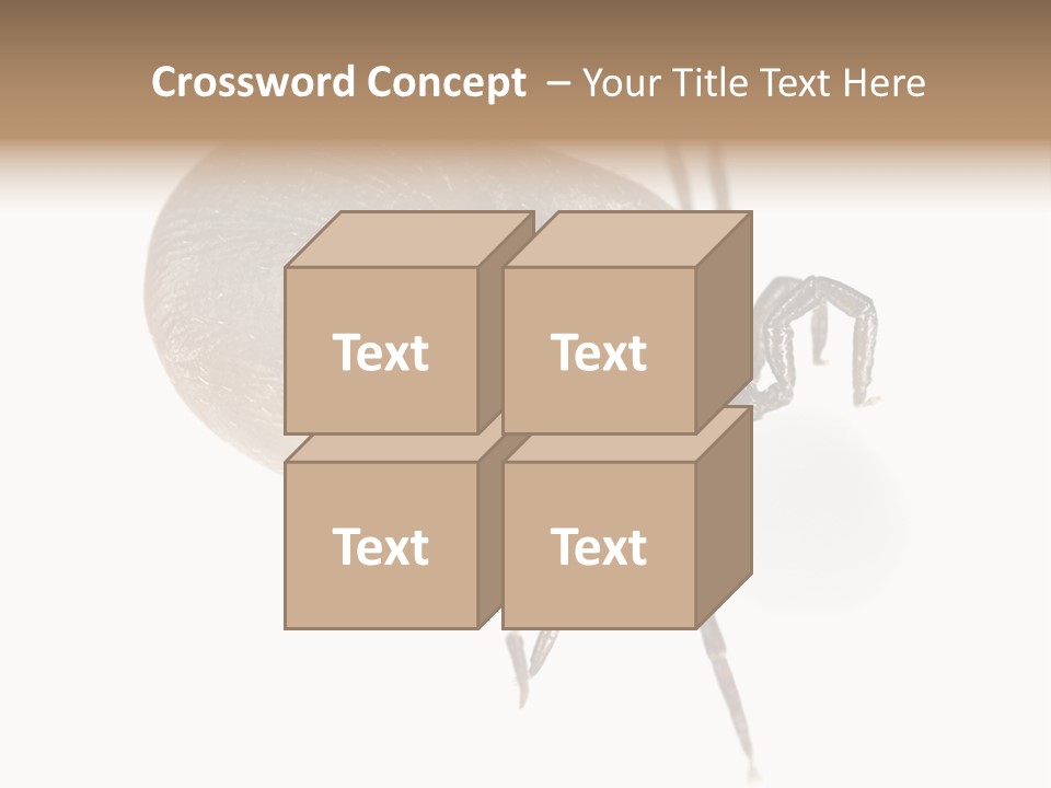 Small Isolated On White Brown PowerPoint Template