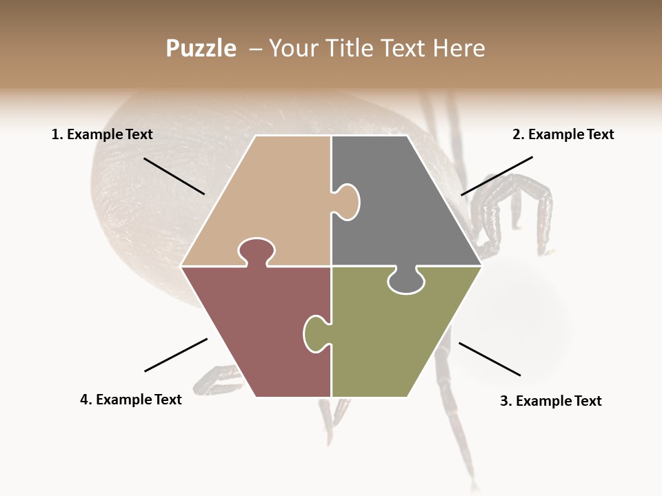 Small Isolated On White Brown PowerPoint Template